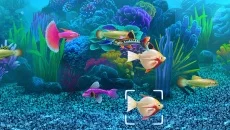 Fish Tycoon