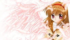 Kanon