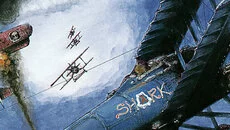 Sky Shark