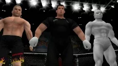 Ultimate Fighting Championship