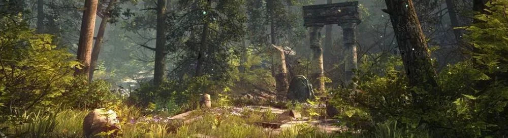 The Forest — Трейнер / Trainer (+7) [0.5] [MrAntiFun] / Трейнеры / Читы