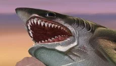 Hungry Shark World - игра в жанре Аркада