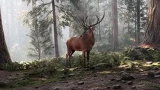 Mushrooms: Forest Walker похожа на Mushrooms: Forest Walker