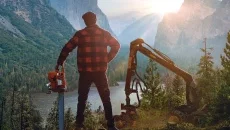 Lumberjack's Dynasty - игра в жанре Экшен