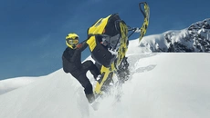 Sledders