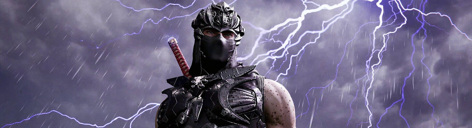 Смешанные отзывы о Ninja Gaiden 4 — 0 мнений
