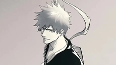 BLEACH Mirrors High